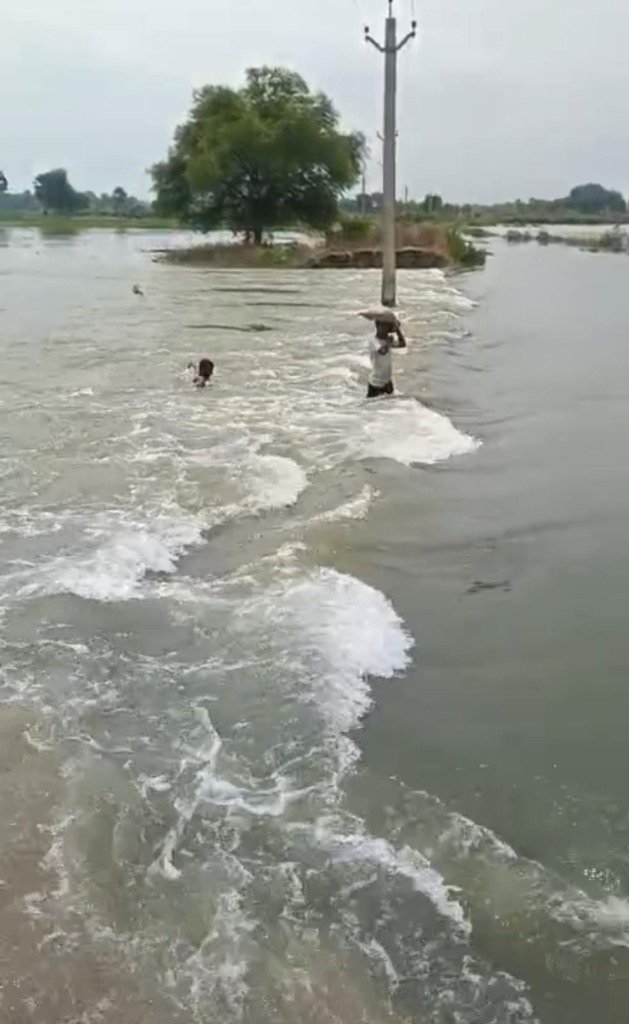 पटना एयरपोर्ट पर बर्ड हिट रोकने के लिए अहम बैठक, कूड़ा और मांस-मछली की दुकानों पर होगी कार्रवाई